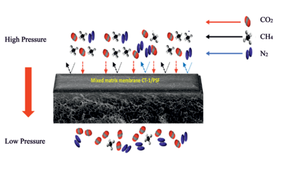 Utilizing Covalent Triazine Framework (CT-1) Loading for CT-1/Polysulfone Mixed Matrix Membrane for CO2