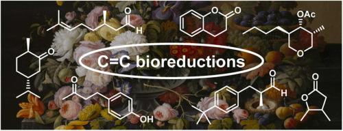 Applications of biocatalytic CC bond reductions in the synthesis of flavours and fragrances