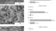 Adsorption Characteristics And Mechanism of U(Vi) In Water By Dopamine Hydrochloride Modified Bentonite