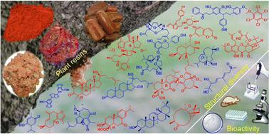 Medicinal plant resin natural products: structural diversity and biological activities.