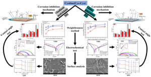 Corrosion Inhibition of X100 Pipeline Steel in 1 M HCl by Two Complexes of Cystine