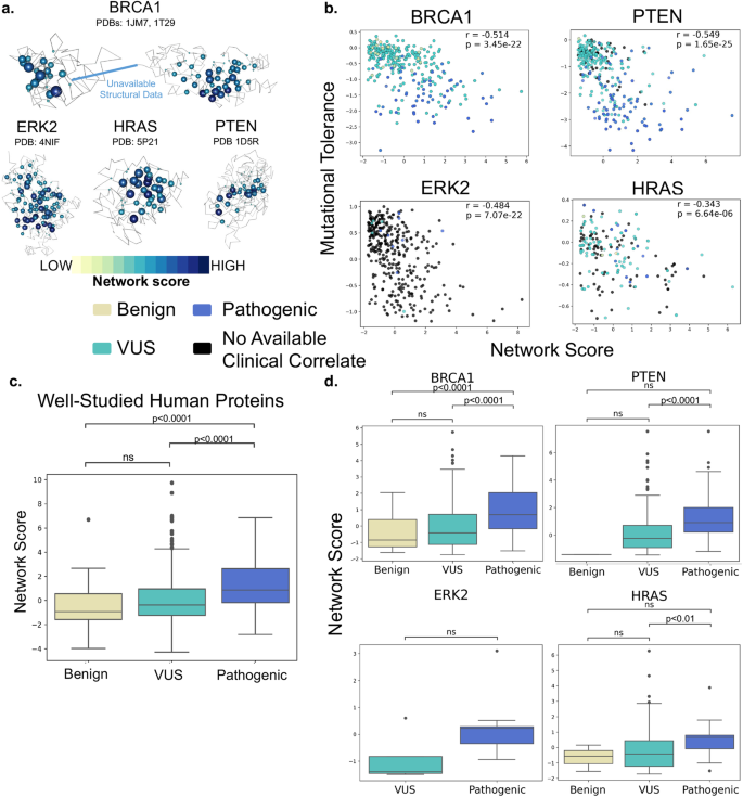 Structure-based network analysis predicts pathogenic variants in human proteins associated with inherited retinal disease.