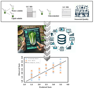 Seasonal variation of metabolites in Kimchi cabbage: utilizing metabolomics based machine learning for cultivation season and taste discrimination