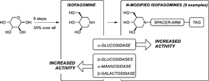 A remarkable change in inhibition potency and selectivity of isofagomine by simple N-modification