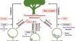 Who holds the reins? Context-dependent resource allocation in the mutualism between fig trees and their fig wasp pollinators.