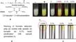 Development and validation of paper-based strip method for the detection of formalin in milk