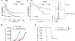 HVEM in acute lymphocytic leukemia facilitates tumour immune escape by inhibiting CD8<sup>+</sup> T cell function.