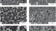 Controlling the Electrode Morphology and Surface Energy to Make Ethanol Fuel Cells Based on Pd-Assisted Etched Porous Silicon