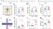 Acute Observational Stimulus of Restrained Mice Induced Anxiolytic Effects in Observer Mice.