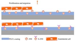 Zinc(II) metal-organic framework eluting titanium implant as propulsive agent to boost the endothelium regeneration