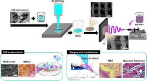 Highly Porous 3D Printed Scaffold Incorporated with Graphene Oxide-Merwinite and Coated with IGF1 Loaded Nanofibers for Calvarial Defect Repair