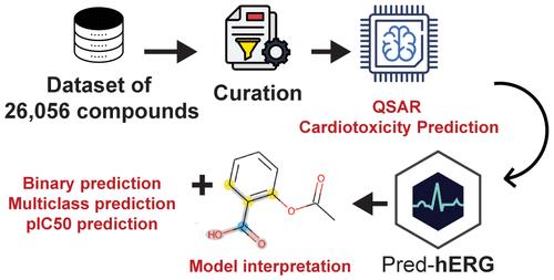 Enhancing hERG Risk Assessment with Interpretable Classificatory and Regression Models