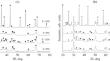 Porous Alumina-Supported Tungstated Zirconia Catalysts for Heptane Isomerization