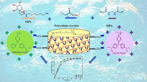 Fructose-Based Non-Isocyanate Polyurethane/Poly (Sodium Acrylate) Hydrogels: Design, Synthesis and Environmental Applications