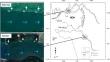 Seasonal shift in trophic status induced by bacterial metabolic activity in tropical mangrove-dominated estuaries of Southwest India