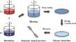 Degradation Dynamics and Mechanical–Thermal Response of Polylactide/Poly(Propylene Carbonate) Blends: Towards Sustainable Material Design