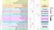 Arbuscular mycorrhizal symbiosis with Rhizophagus irregularis DAOM197198 modifies the root transcriptome of walnut trees.