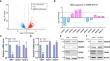 Negative regulation of HDAC3 transcription by histone acetyltransferase TIP60 in colon cancer.