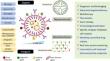 Multifunctional Nanomaterials: Recent Advancements in Cancer Therapeutics and Vaccines