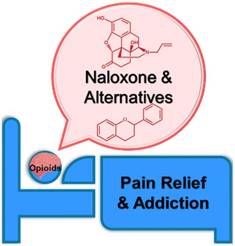 Nanotechnology-Enhanced Naloxone and Alternative Treatments for Opioid Addiction