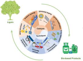 Advances in Enhancing Hydrodeoxygenation Selectivity of Lignin-Derived Oxygenates: From Synthetic Strategies to Fundamental Techniques