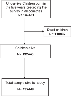 Birth weight mediates the association of maternal undernutrition with child undernutrition prevalence in West Africa