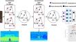 Neural Circuit Policies for Virtual Character Control