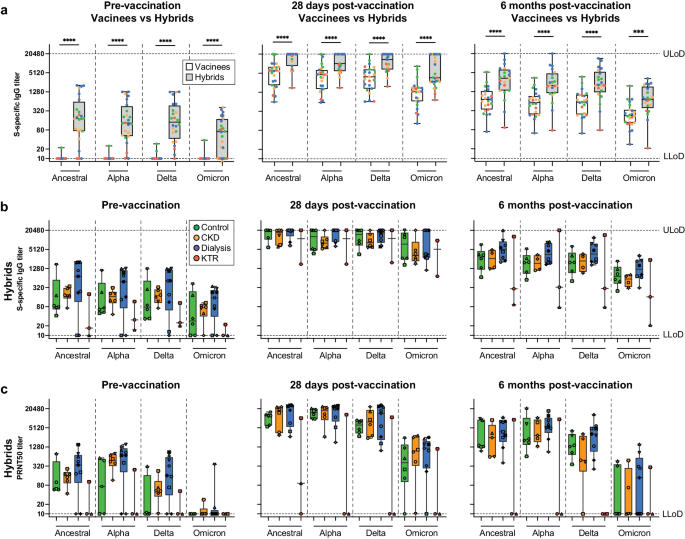 SARS-CoV-2-specific immune responses converge in kidney disease patients and controls with hybrid immunity.