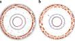 Whole-genome sequencing of Pseudoalteromonas piscicida 2515 revealed its antibacterial potency against Vibrio anguillarum: a preliminary invitro study