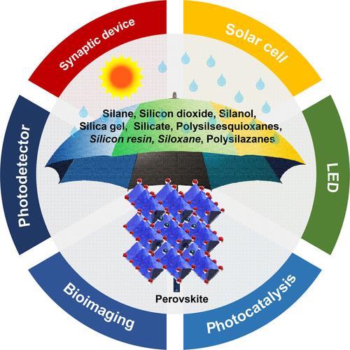 Stabilization of halide perovskites with silicon compounds for optoelectronic, catalytic, and bioimaging applications