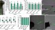 Arabidopsis Sar1b is critical for pollen tube growth.