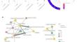 Leaf Endophytes Relationship with Host Metabolome Expression in Tropical Gymnosperms.