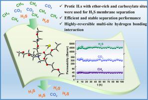 Constructing Ether-Rich and Carboxylate Hydrogen Bonding Sites in Protic Ionic Liquids for Efficient and Simultaneous Membrane Separation of H2S and CO2 from CH4