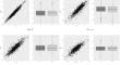 Efficient estimation of true fixed-effects stochastic frontier models