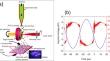 Smart integration of cold plasma stream and surface discharge with ns laser ablation for composite nanomaterial.