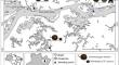 Hematological and plasma biochemical profile of two species of freshwater stingrays from the Amazon.