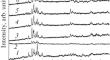 The Effect of Heat Treatment and Tungsten Content on the Structure, Phase Composition, and Corrosion Resistance of High-Entropy Alloys of the Fe–Cr–Ni–Mo–W System