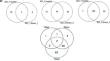 of Potential Noncoding RNAs Related to Spinal Cord Injury Based on Competing Endogenous RNAs.