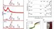 Correction: Structural, magnetic, and photocatalytic properties of core–shell reversal nanocomposites of titanium-doped strontium ferrite and silica