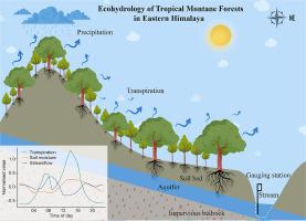 Role of transpiration in modulating ecosystem services in secondary tropical montane forests of Eastern Himalaya in India