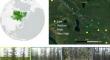 Linking Post-fire Tree Density to Carbon Storage in High-Latitude Cajander Larch (Larix cajanderi) Forests of Far Northeastern Siberia