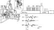 Reliability of transcranial magnetic stimulation-evoked responses on knee extensor muscles during cycling.