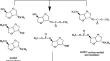 KF/MgO used as the catalyst for transesterification of dimethyl carbonate with isosorbide to dicarboxymethyl isosorbide