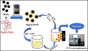 Bio Fabrication of MgO Decorated Spinel Magnetite Nanoparticles for Efficient Removal of AO Dye: Isotherm, Kinetic, and Thermodynamic Study