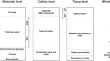 Problems and Opportunities in the use of Bioelectrical Impedance Analysis for Assessing Body Composition During Ketogenic Diets: A Scoping Review.