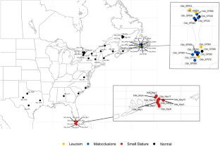 Island demographics and trait associations in white-tailed deer