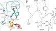 Light dependent protochlorophyllide oxidoreductase: a succinct look