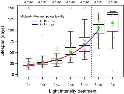 Caloric restriction extends lifespan in a clonal plant