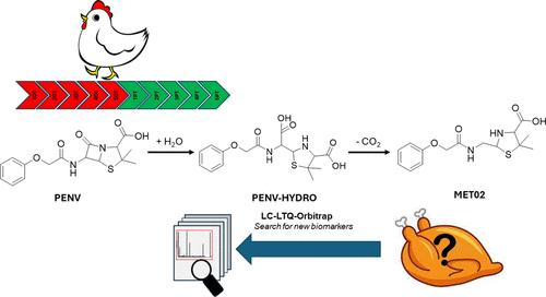 Search for Biomarkers for the LC-ESI-QqQ Determination of Phenoxymethylpenicillin Treatment in Raw or Cooked Chicken Meat Samples