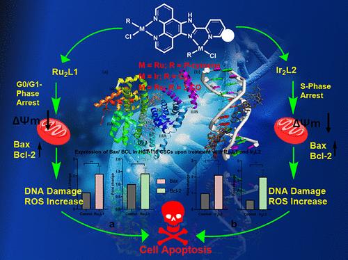 2-Aryl-1H-imidazo[4,5-f][1,10]phenanthroline-Based Binuclear Ru(II)/Ir(III)/Re(I) Complexes as Mitochondria Targeting Cancer Stem Cell Therapeutic Agents#